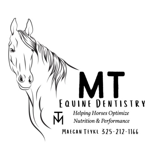 MT Equine Dentistry2